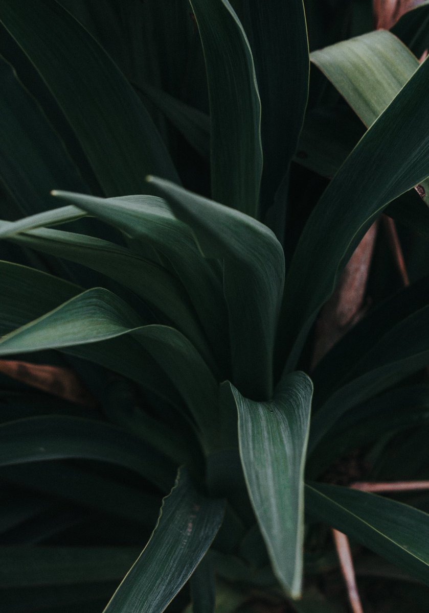 JordanStanford5's tweet photo. new project — https://t.co/TsiUo9gMXK https://t.co/tIcj7iPPRX