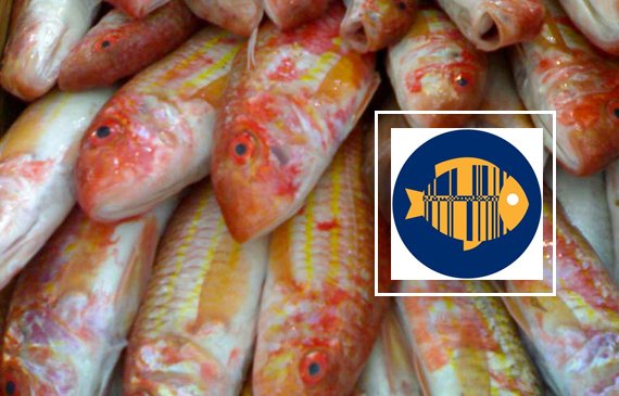 pesceinrete's tweet image. #Produttori e #distributori insieme, con @GS1italy, per risolvere i problemi del #settoreittico
goo.gl/7URgZN