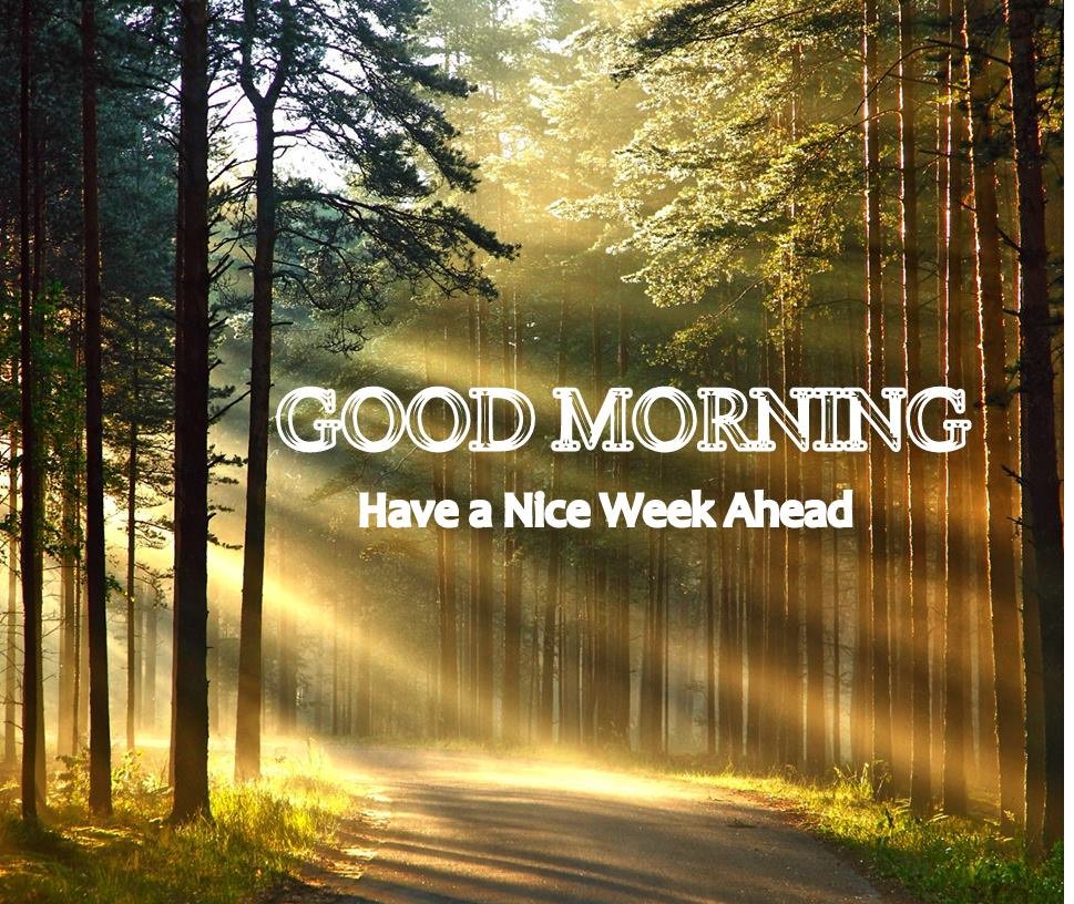 Mindz_Tech's tweet photo. Monday, A new day , a new week a new sunrise, a new blessing. Make the most of it and enjoy your day. Progress always involves risk; you can’t steal second base and keep your foot on first. https://t.co/al9AKdUXCD