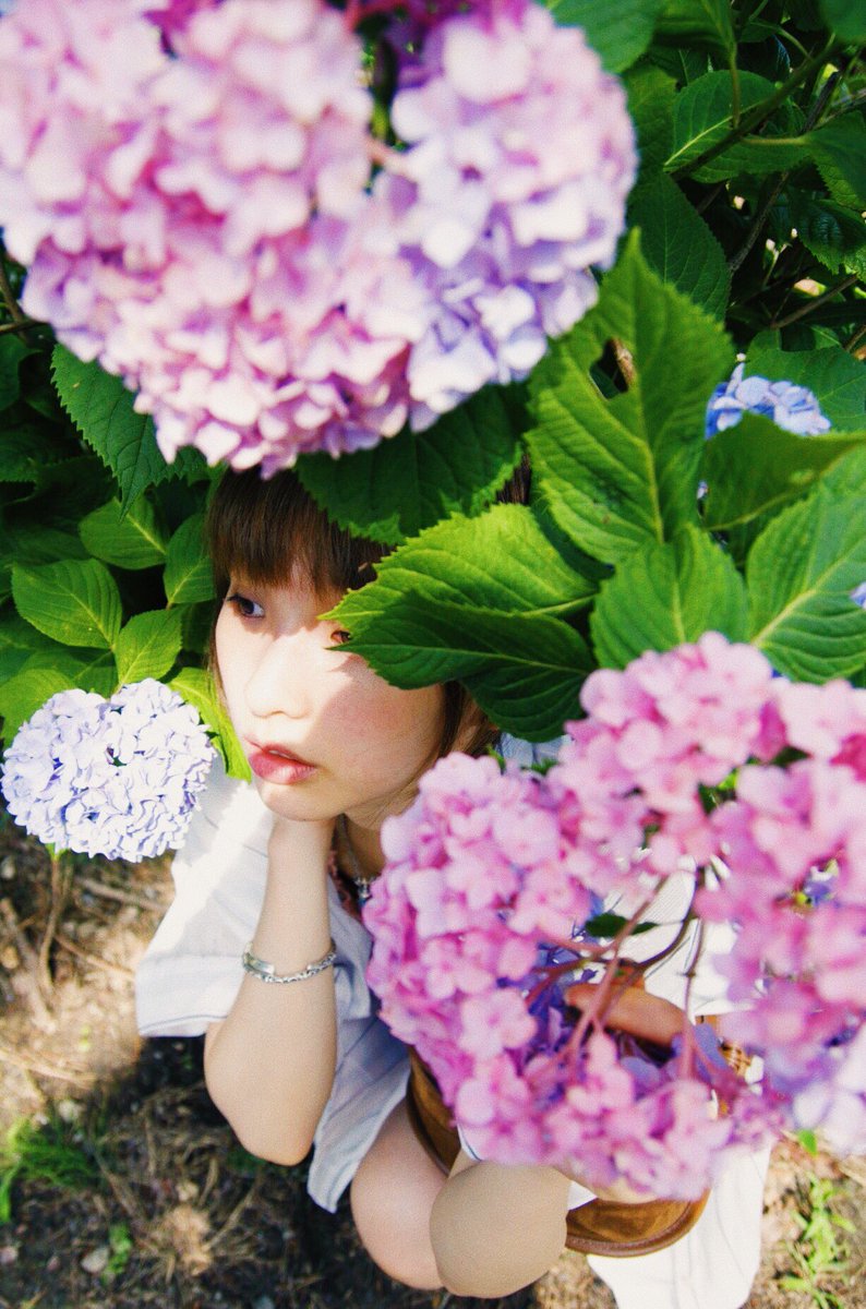 mio_64's tweet photo. この間に3週間くらい台湾に帰った。
日本に戻って、仙台の紫陽花まだ咲いてるって、、嬉しかった✨❤

#紫陽花 #ポートレート撮影 https://t.co/qXfigY3ju2