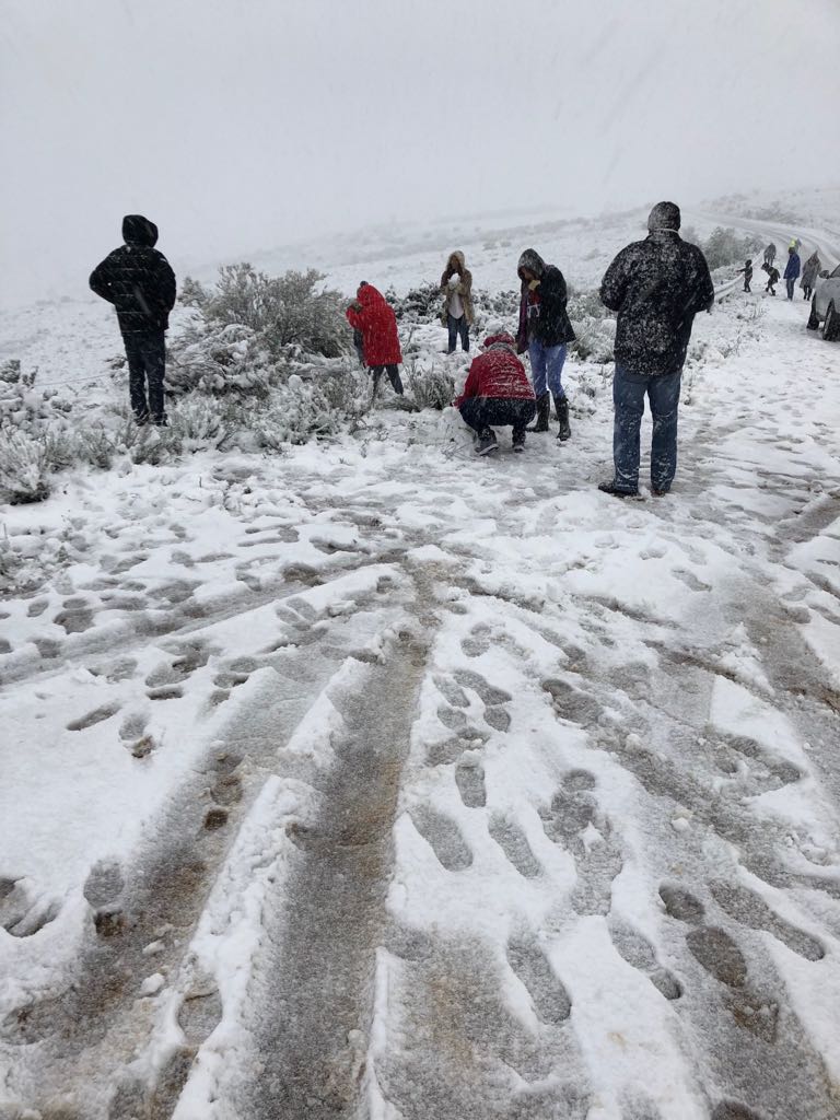 If you're searching for snow today - only accessible with normal vehicles on the Swaarmoed road en-route to Matroosberg + Klondyke. Gydo and Theronsberg passes closed. 4x4 trail Matroosberg Reserve is closed for today. Merino Farm 4x4 trail is closed. Be safe. #snow #discoverctwc