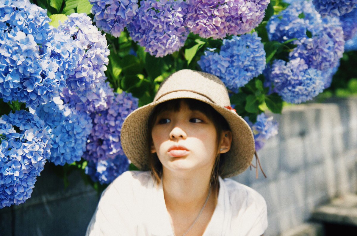 mio_64's tweet photo. 念願の紫陽花 ☺️✨

#紫陽花 #ポートレート https://t.co/dQGkf4BExv