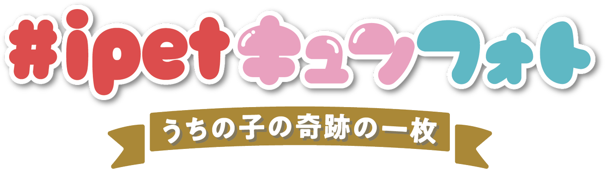 IPET__INS's tweet photo. 【アイペット × TOKYO MX】
TOKYO MXの人気番組「ひるキュン！」では「#ipetキュンフォト」と題し、ワンちゃん・猫ちゃんのキュンとする奇跡の写真をSNSを通じて投稿いただき、番組内で紹介いたします。7月のお題は「夏を感じる１枚！」です。

#ipetキュンフォト： https://t.co/AVN4duANcB https://t.co/YBTrTAC81d