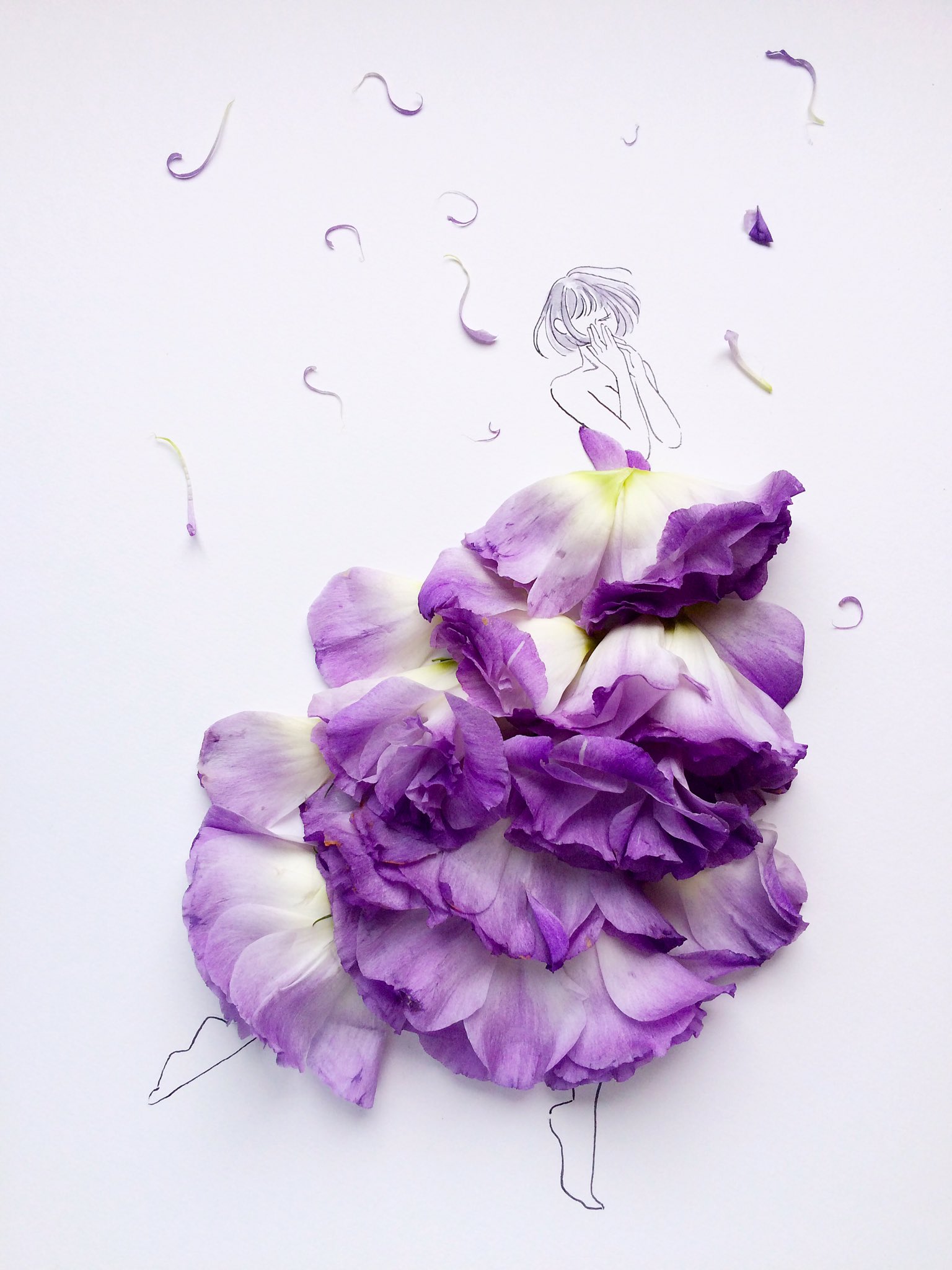 تويتر はな言葉 葉菜桜花子 على تويتر 萎れた紫色のトルコキキョウを使って描きました 花言葉 清々しい美しさ T Co 3uf0rhv8ht