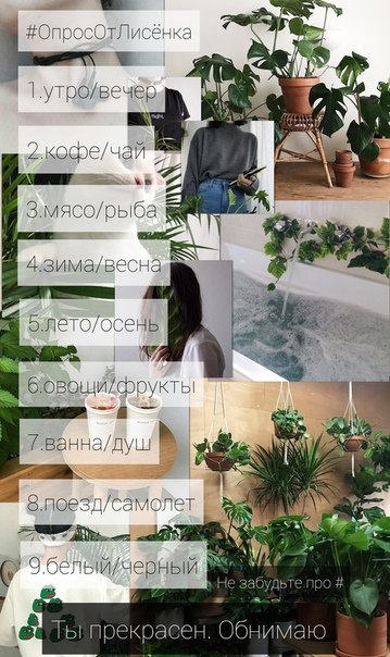 __Your__Daddy's tweet photo. От @BabaJina_
#ОпросОтЛисёнка
1. Вечер 
2. Чай
3. Мясо
4. Зима
5. Лето
6. Фрукты
7. Душ
8. Поезд 
9. Черный https://t.co/uFMeTaEaje