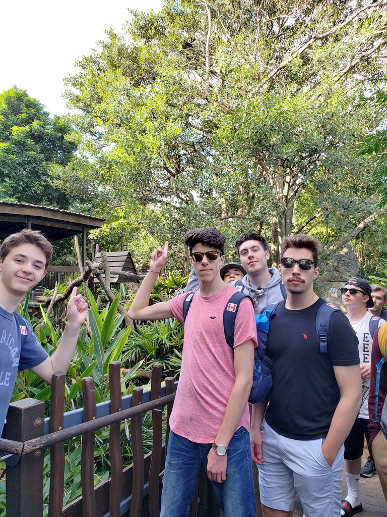 HAustralia2018's tweet photo. Taronga Zoo Sydney is a not-for-profit organisation supporting wildlife conservation &amp; cares for 4000 animals from over 350 species. Awesome experience🐒🐯🦒🐘🦇🐧🦎🐍😊 https://t.co/VVEnJzzurv