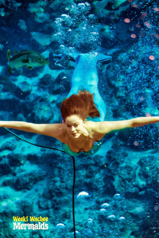 WeekiWacheeSpgs's tweet photo. Happy #MermaidMonday from Kourtney.🧜🏻♀️ Have a wonderful week! #weekiwachee #mermaid #mermaidlife #loveweeki #florida https://t.co/1t6aCfAP0A
