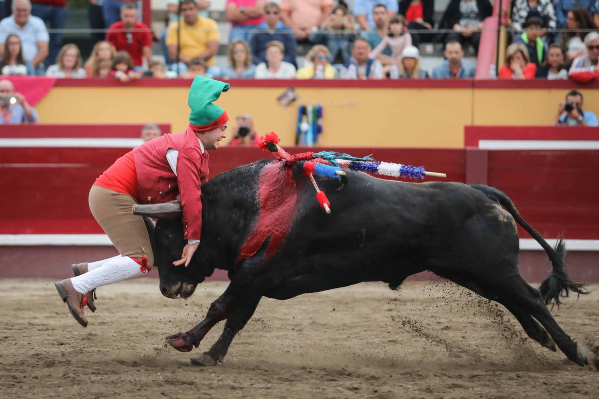 cultorocom's tweet photo. FOTOGALERÍA de André Pimentel de la última de la feria de Sanjoaninas este domingo https://t.co/Z0jbQxpL4p https://t.co/v2PLbKEjVz