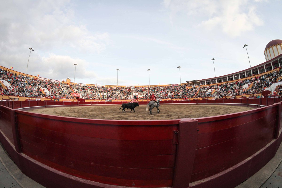 cultorocom's tweet photo. FOTOGALERÍA de André Pimentel de la última de la feria de Sanjoaninas este domingo https://t.co/Z0jbQxpL4p https://t.co/v2PLbKEjVz