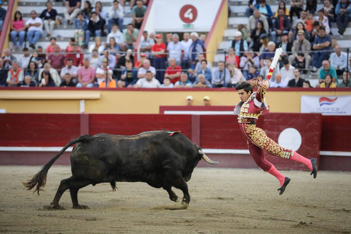 cultorocom's tweet photo. FOTOGALERÍA de André Pimentel de la última de la feria de Sanjoaninas este domingo https://t.co/Z0jbQxpL4p https://t.co/v2PLbKEjVz
