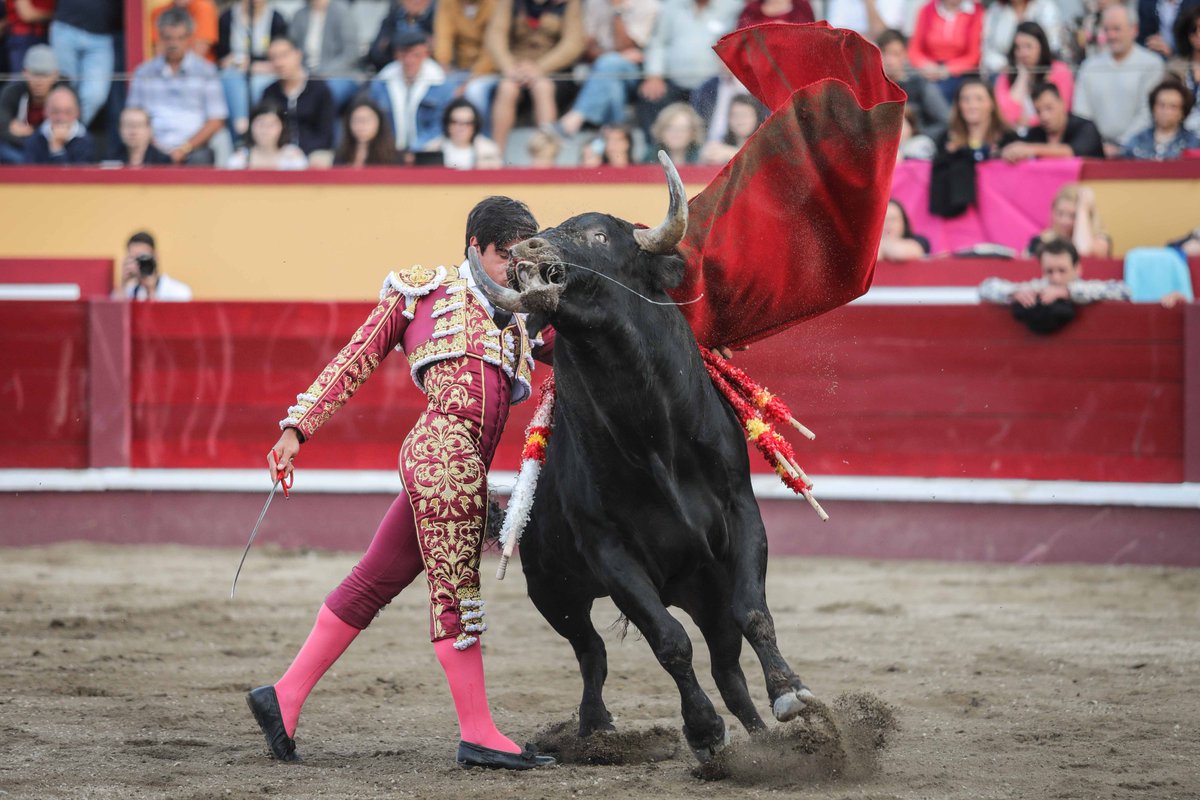 cultorocom's tweet photo. FOTOGALERÍA de André Pimentel de la última de la feria de Sanjoaninas este domingo https://t.co/Z0jbQxpL4p https://t.co/v2PLbKEjVz
