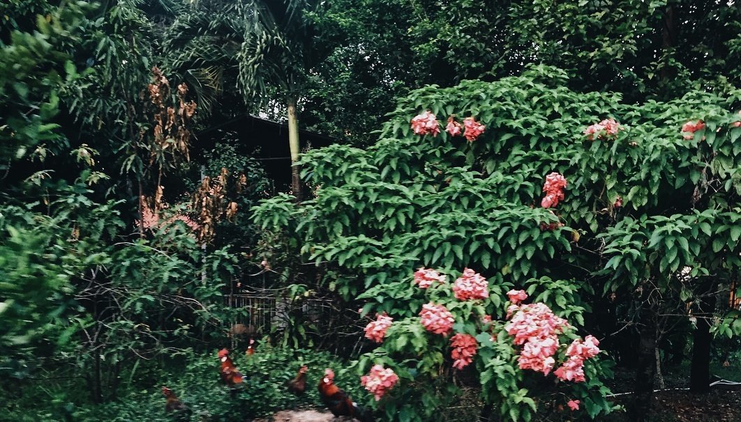 warizz___'s tweet photo. Angel said that I'm in heaven.🌿 https://t.co/QdEscCGOg4