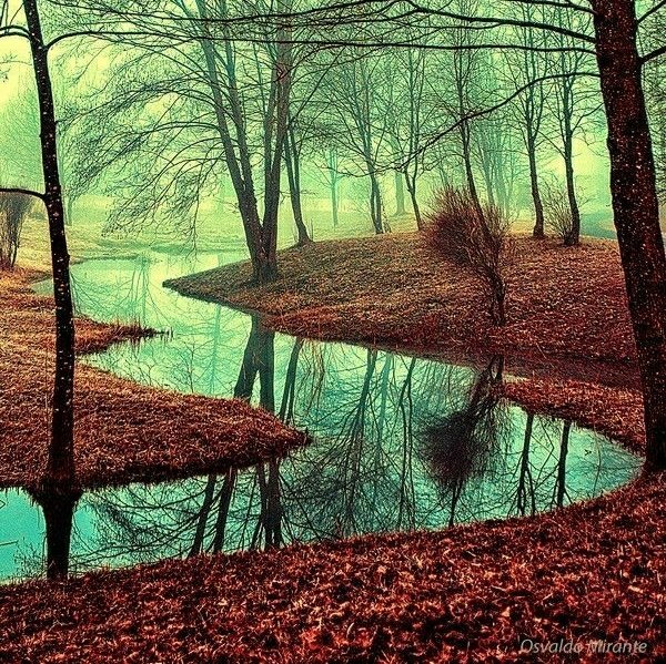 AshantaraGray's tweet image. Today feels very reflective 🤔 new week, new ideas, new outlook 🙏 Ashantara x 💗🌸  
.
📷 buff.ly/2KK9I5B #mondaymorning #foreststream #ashantaragray