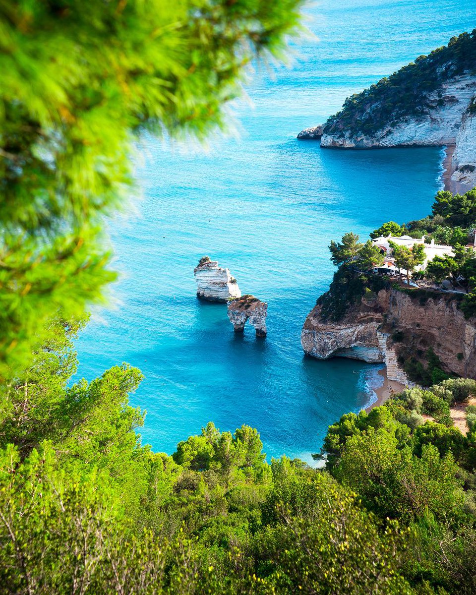 Italia's tweet photo. Buongiorno amici e buon inizio di settimana dalla Baia dei Faraglioni nel Promontorio del #Gargano! 👉 https://t.co/f4vOBQNJcR
#IlikeItaly #Italia #Puglia #lunedì #2luglio
📷 IG rik_berto https://t.co/z80b9pmKy1