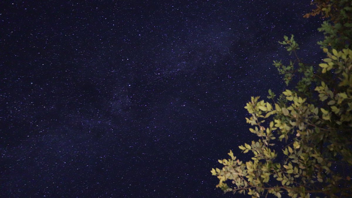 E55rob's tweet photo. Highly recommend going to a non populated area where there isn’t a lot of light pollution and looking up https://t.co/a0cgksXM7S