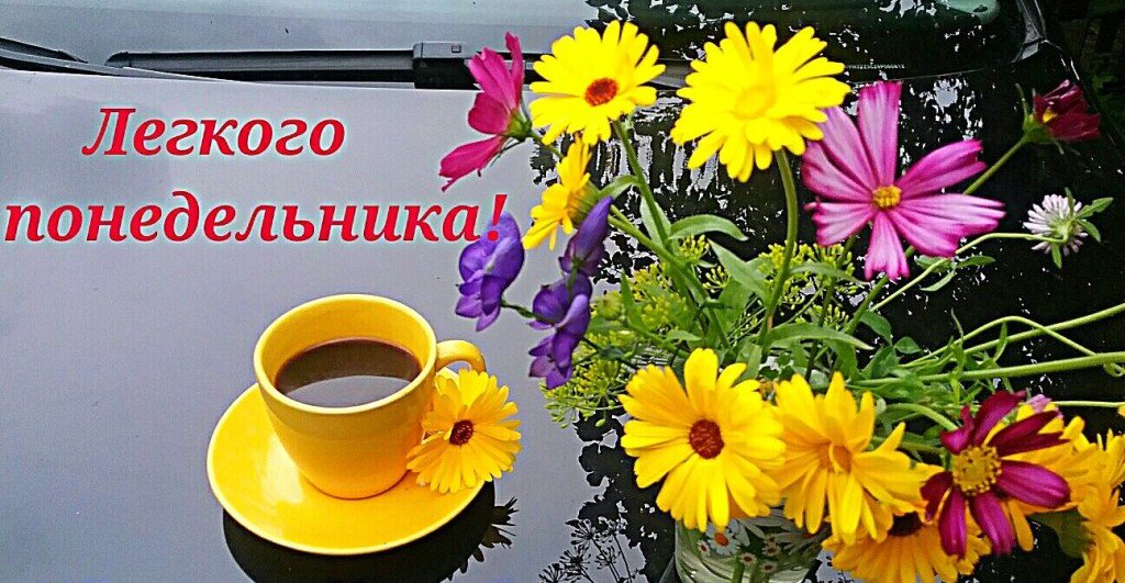 Привет малыш, открытки солнечного понедельника