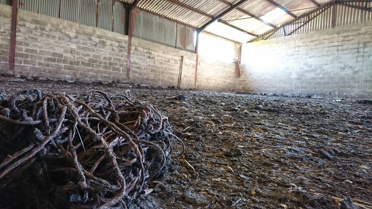 Brainehowndfilm's tweet image. A few pics from our recce for our upcoming feature Harmony. #horror #gloucestershire #subset #location #farm #haunted