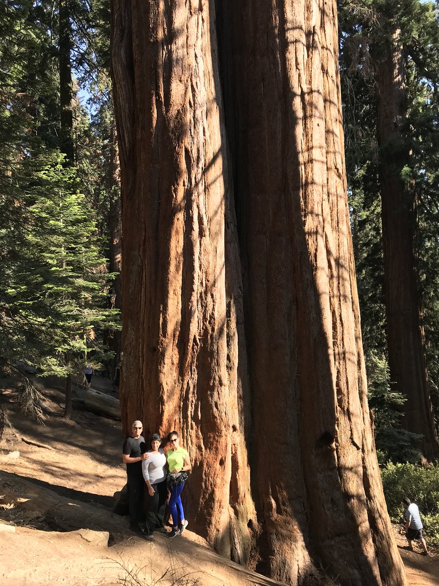 clypie16's tweet photo. I saw a lot of wood today. https://t.co/x7XxJtc4La