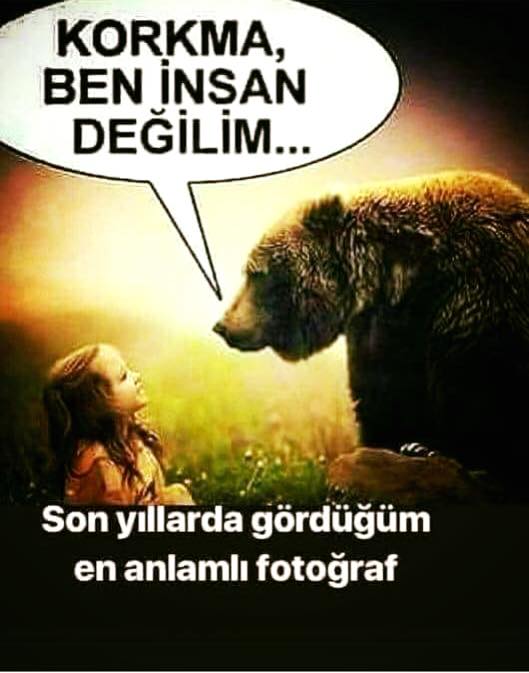 #pazartesi  #unutMADIMAKlımda
İbrahim Tatlıses'e  #TwitterKullanıyorumÇünkü
İçişleri Bakanlığı   #KasmayaGerekYok  İncirlik Üssü
Hayırlı Haftalar  Günaydın Büyük