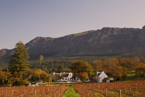 95Keerom's tweet photo. #95atParks has teamed up with @KleinConstantia offering guests a complimentary glass of Organic Sauvignon Blanc or Ltd Release Cabernet Sauv Shiraz for lunch or dinner in July #LTDRelease #Organic https://t.co/U7kCfLbRom