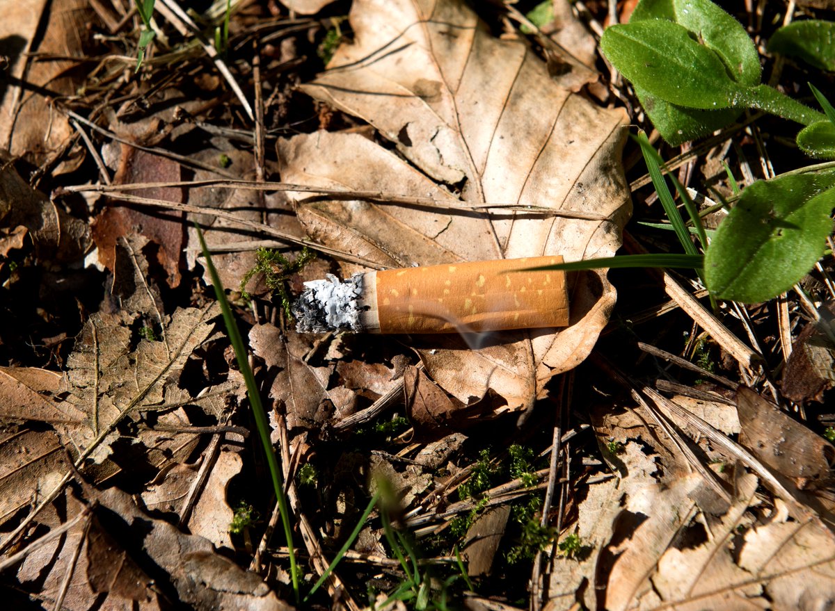 vrutrecht's tweet image. In verband met de aanhoudende droogte is het nog steeds 'fase 2' #Natuurbrandrisico in de regio Utrecht. Benieuwd waar je zelf rekening mee kunt houden? Bekijk hier de tips: goo.gl/cp9NV6 ^LM