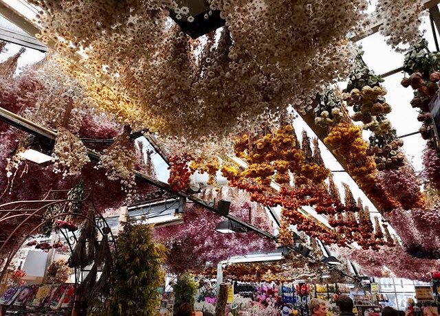 InterRailingPac's tweet photo. Flowers, flowers, flowers. It can only be the Bloemenmarkt in Amsterdam 💐 🌷 💐 🌹 Beautiful images by the very talented Becca Grieve (Instagram: @beccagrievephotography_ )
#interrail #interrailing #interrail2018 #interrailing2018 #interrailingpackages #europe2018 #traveleurope https://t.co/nwFIItpaB6