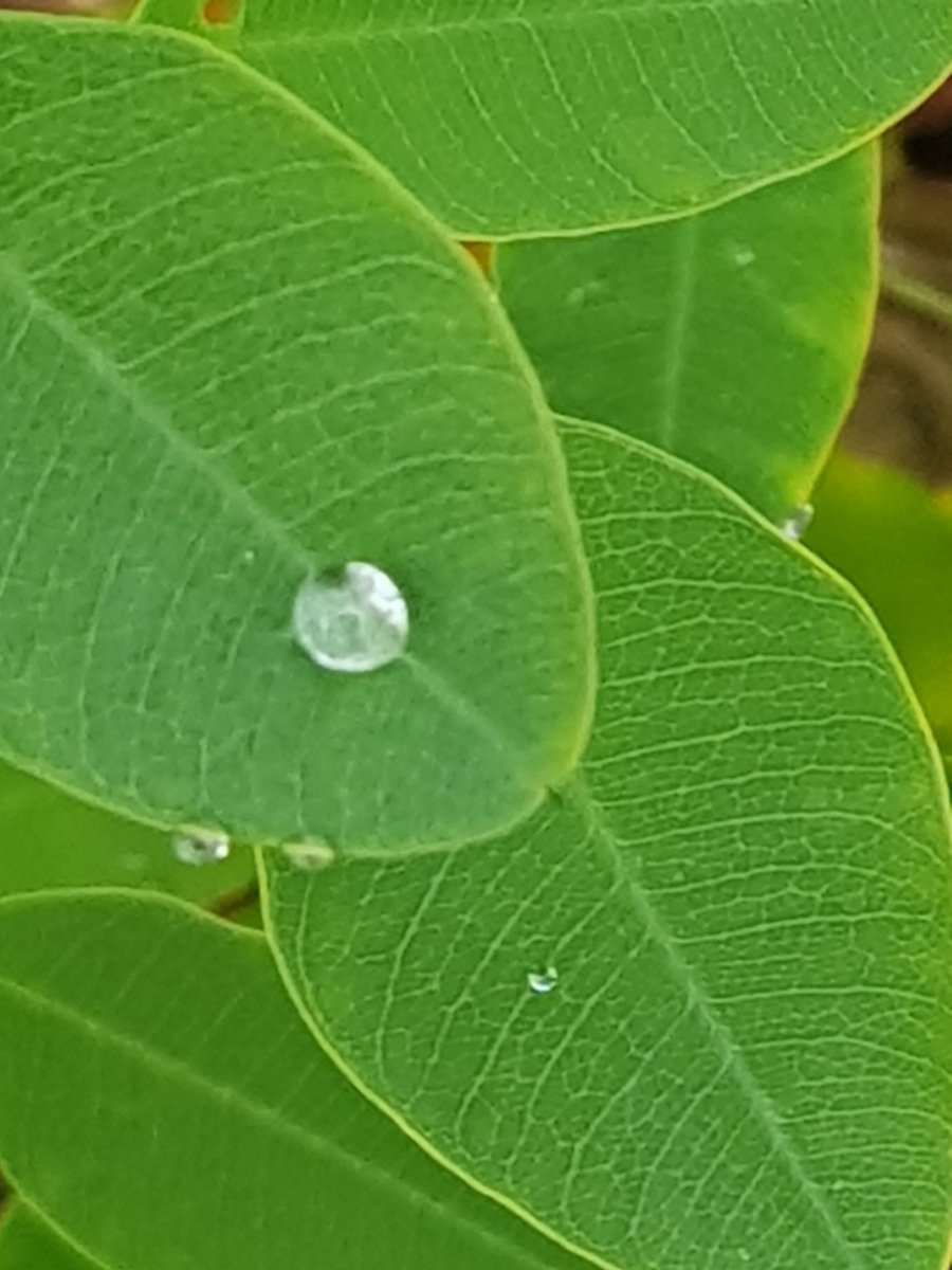 이재오 (@jaeohyi) on Twitter photo 