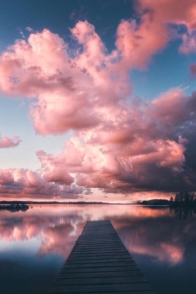 _Pancy_'s tweet image. Утра, лента ✨