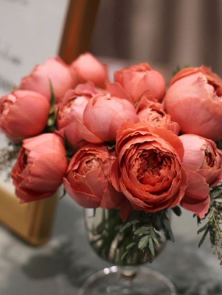 azuribeautybar's tweet image. Second half of the year 🥂 Time to absolutely PUSH yourself to the Next Level #SecondGear #Azuri