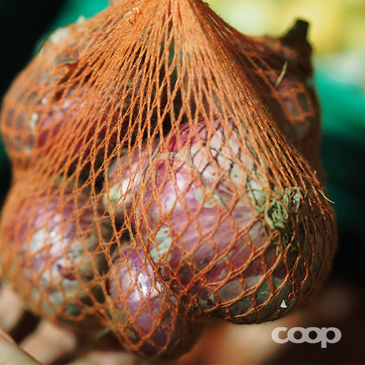 coop_ch tweet media