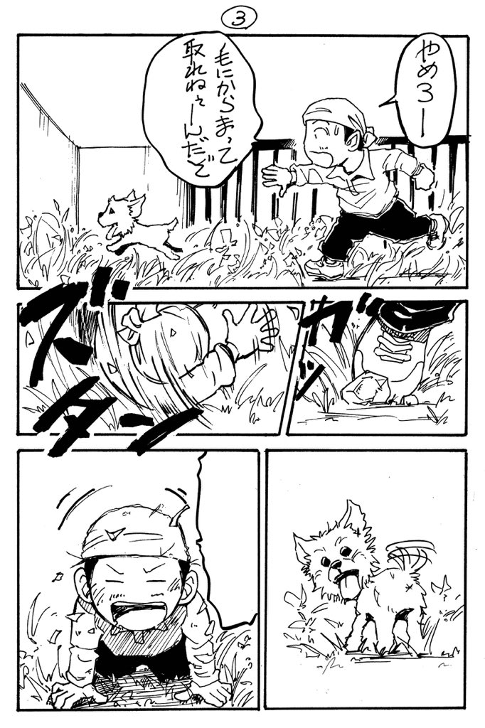 花漫画②(ガーベラ)
おっさんと犬のガーデニング漫画。
趣味の漫画です。
#ガーデニング #花言葉 