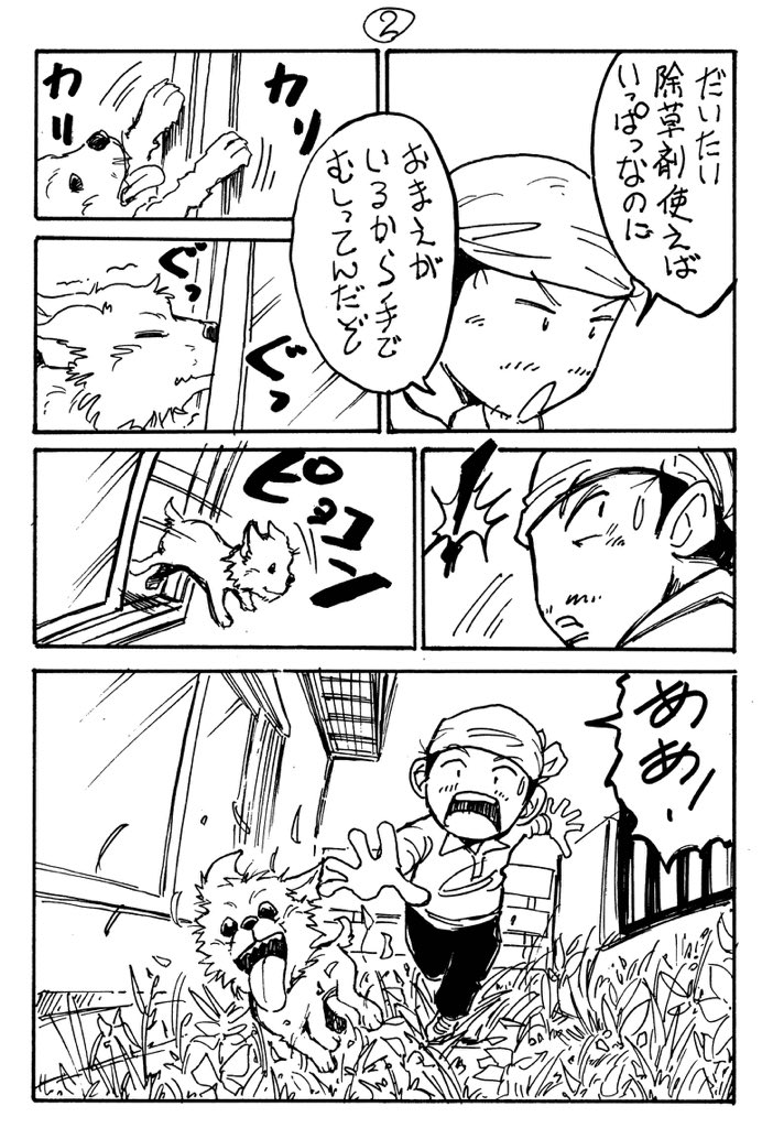 花漫画②(ガーベラ)
おっさんと犬のガーデニング漫画。
趣味の漫画です。
#ガーデニング #花言葉 