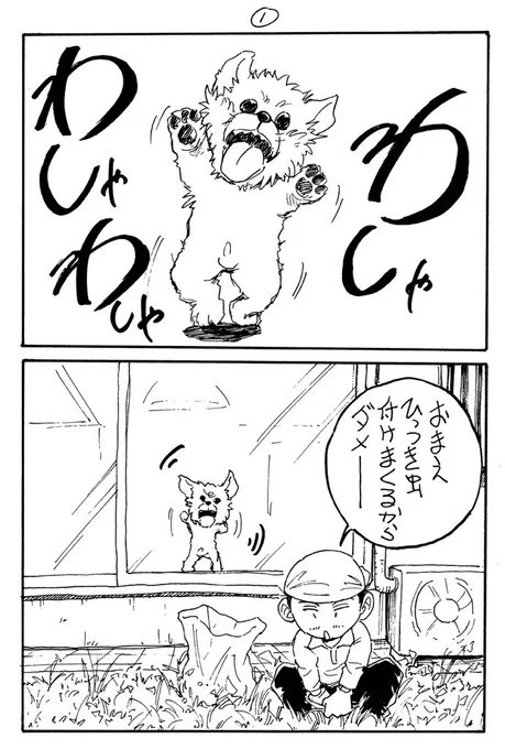 花漫画②(ガーベラ)おっさんと犬のガーデニング漫画。趣味の漫画です。#ガーデニング #花言葉 