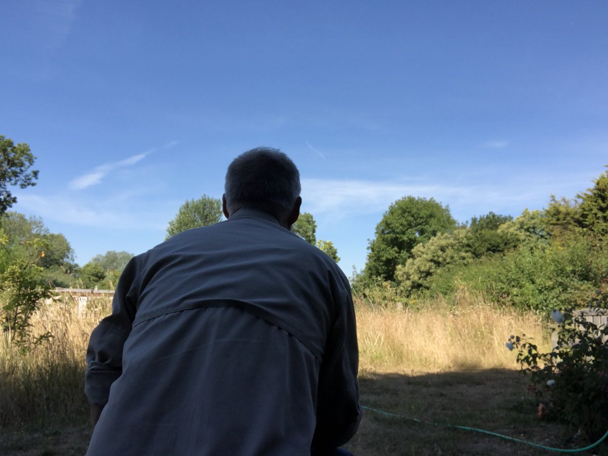 WildlifeGadgets's tweet photo. My office for the day. It’s a hard life! #FroizeUncovered https://t.co/sUGsXbEjDE