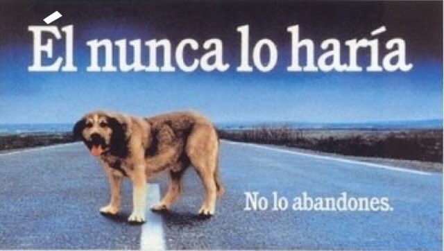 lavecinarubia's tweet photo. Esta campaña tiene muchos años, pero para mí es atemporal porque es algo que por desgracia ocurre todos los veranos: animales en las cunetas y en las calles abandonados a su suerte, deshidratándose, sufriendo y sin entender nada. https://t.co/Q2k1O7CZll