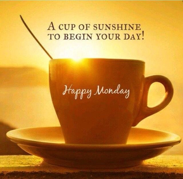 fairviewipswich's tweet photo. Happy Monday! #monday #lovewhatyoudo #bigweekcoming #sunisshining https://t.co/dHDGAhVBmq