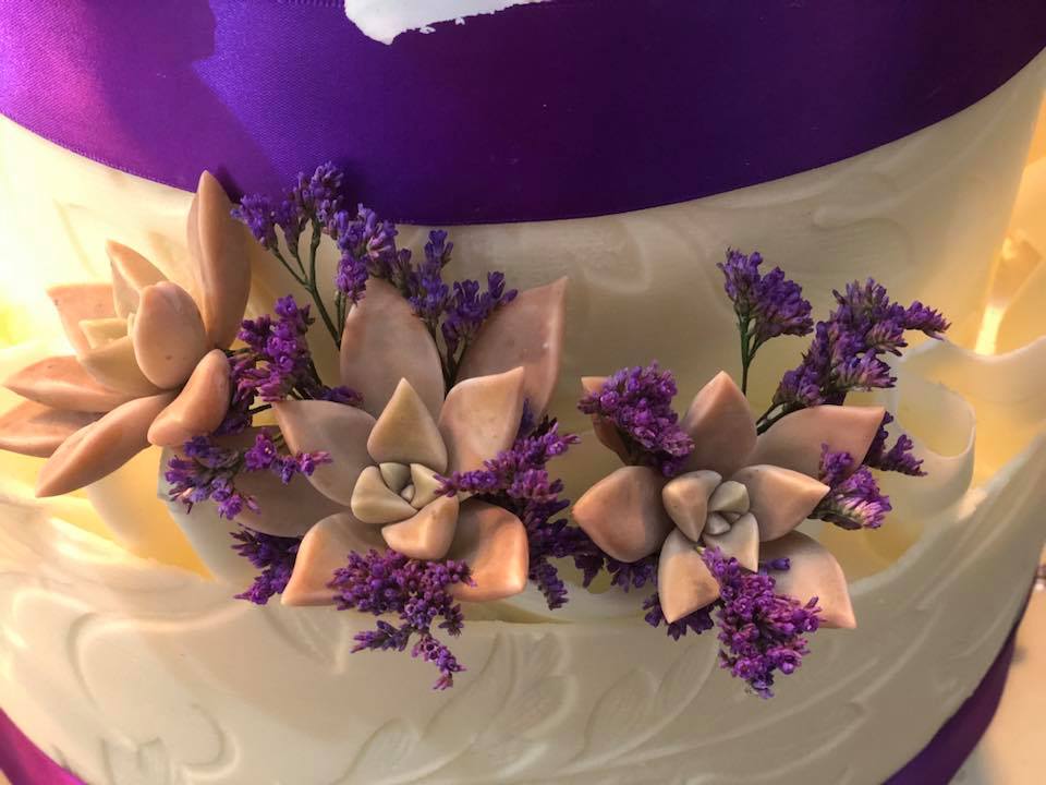 to_netts's tweet photo. The Magical Colour P U R P L E
Visit our purple showroom and be inspired
#Purple #MondayMotivation #beauty https://t.co/sjw4UsxznO