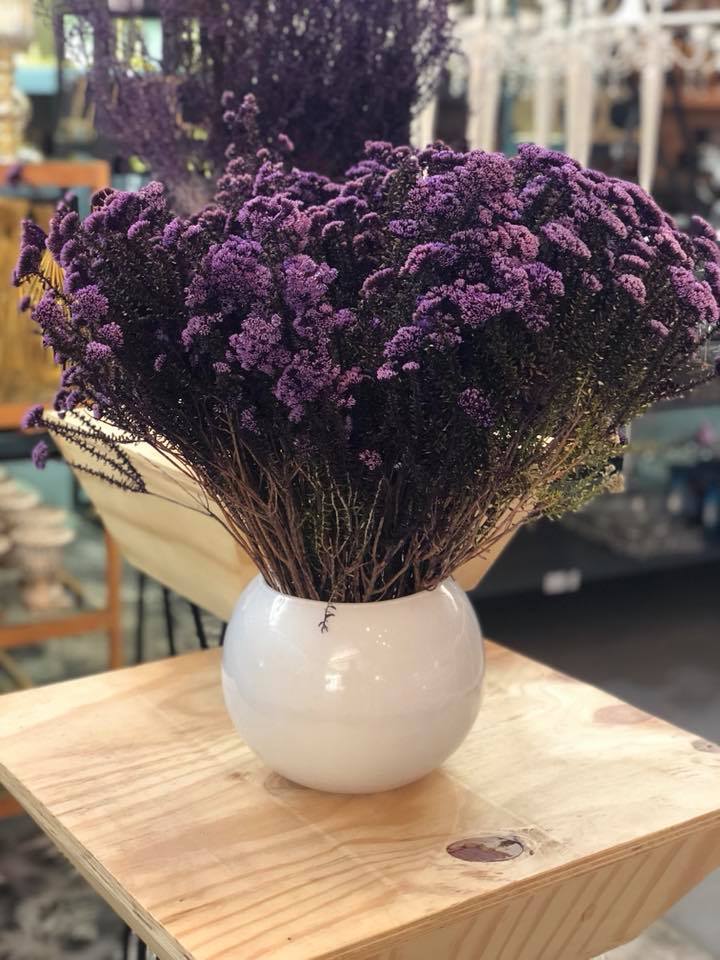 to_netts's tweet photo. The Magical Colour P U R P L E
Visit our purple showroom and be inspired
#Purple #MondayMotivation #beauty https://t.co/sjw4UsxznO