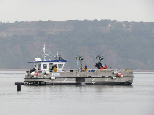 Emma Sheehan (@dr_emma_sheehan) on Twitter photo Fantastic fully funded PhD opportunity to work on the impacts of the UK's first large scale offshore mussel farm plymouth.ac.uk/student-life/y… Fantastic fully funded PhD opportunity to work on the impacts of the UK's first large scale offshore mussel farm plymouth.ac.uk/student-life/y…
