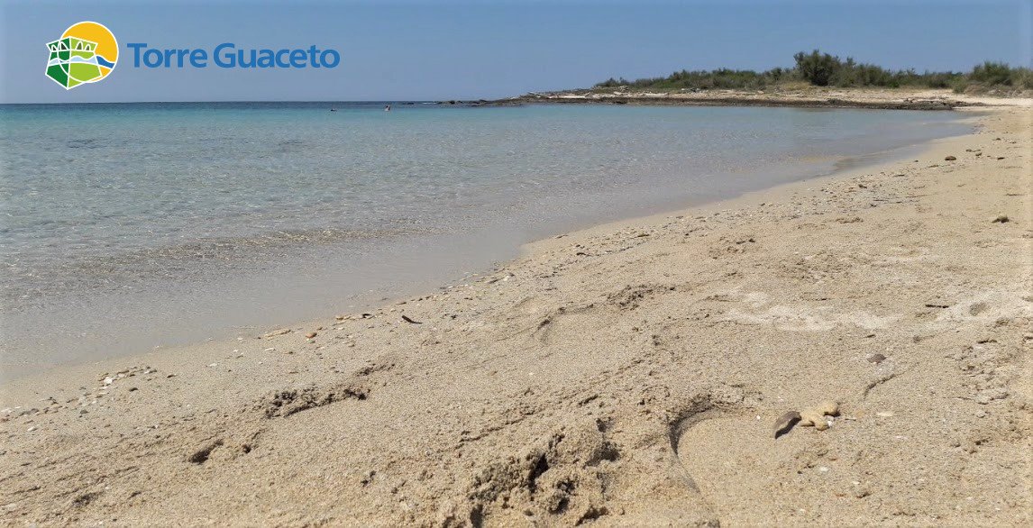 torreguaceto's tweet photo. Qui la musica è il #fruscio del #vento, è il suo delle #onde che si infrangono sul #bagnasciuga,è il cinguettio degli #uccelli. La pace raggiunta un passo dopo l'altro. L'isolamento che non è solitudine, ma #armonia. #TorreGuaceto e le sue #calette, il #paradiso per tutti!
#sea https://t.co/qlD0g5aYCs