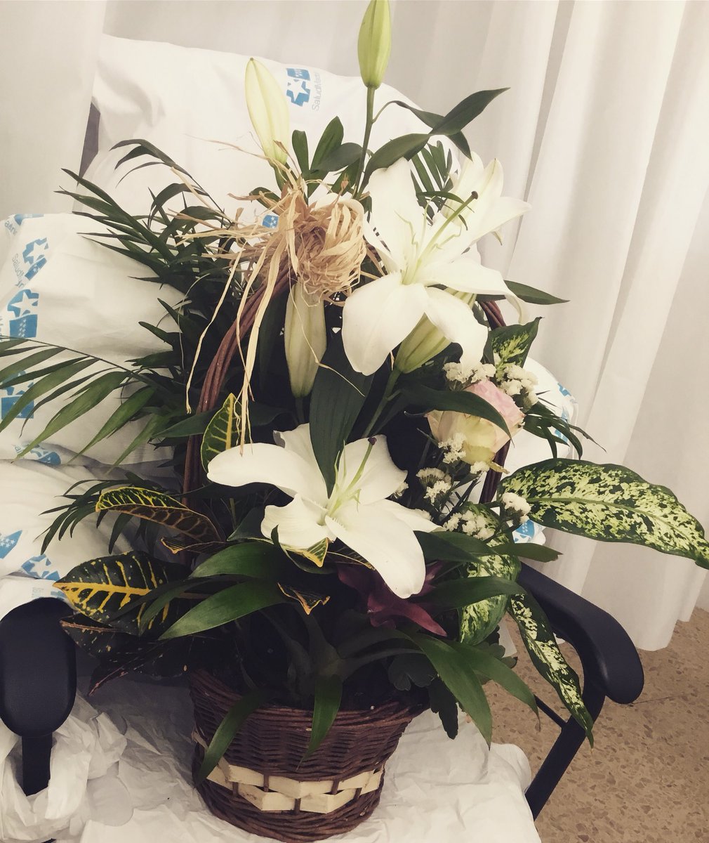 carolaperez's tweet image. Gracias Pedro Pérez y resto de mi familia @LaSantaLeClub 🙏🏻💚💫🌱😘

#Postoperatorio #LaPaz #EspaldasRotas #Frankeenweenie