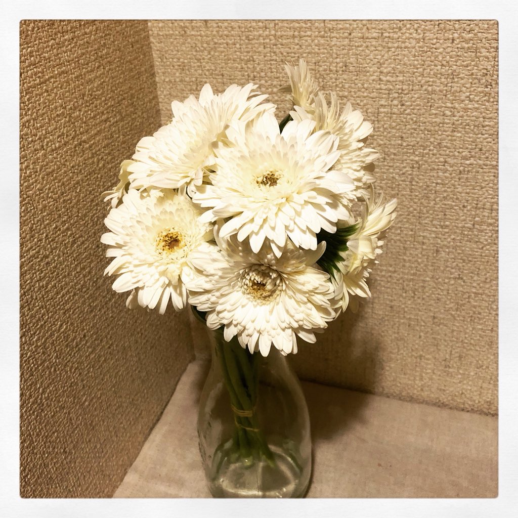 すべての美しい花の画像 新鮮な花 言葉 頑張れ