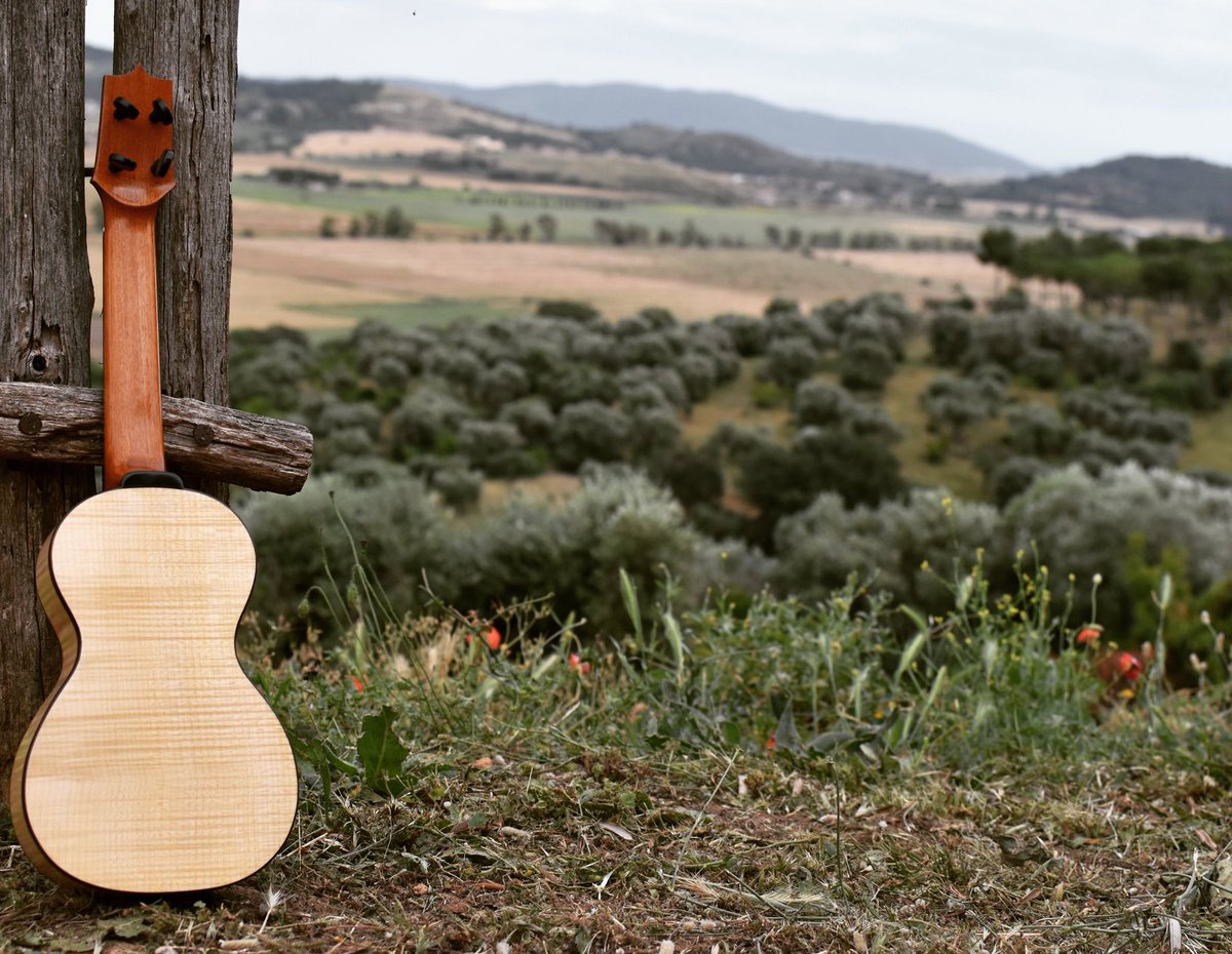 Ukulelezeit.de tweet media