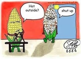 StroudCenter's tweet photo. :) a little #HeatWave #Humor https://t.co/MP2yHFbFHr