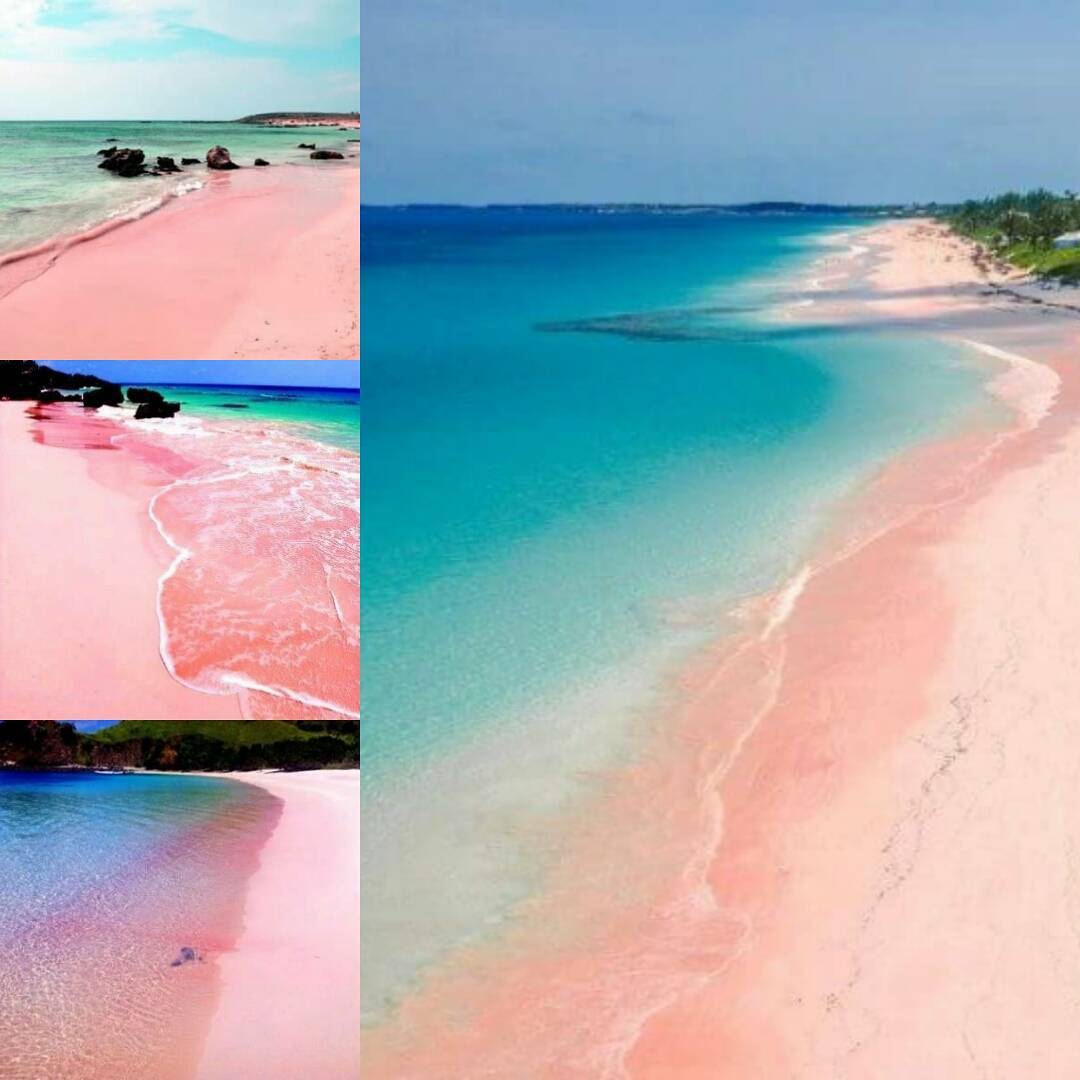 SayHello_ID's tweet image. Kerja kerja dan kerja? Saatnya nih kamu butuh Liburan. Yuk, Liburan Ke Lombok. Ada banyak destinasi wisata yang keren loh yg bikin kamu keren! Mimin punya banyak destinasi keren nih mulai dr Gili Trawangan, Gili Kendis, Gili Nangu, Pink Beach, jeeva Bloam Beach, dll