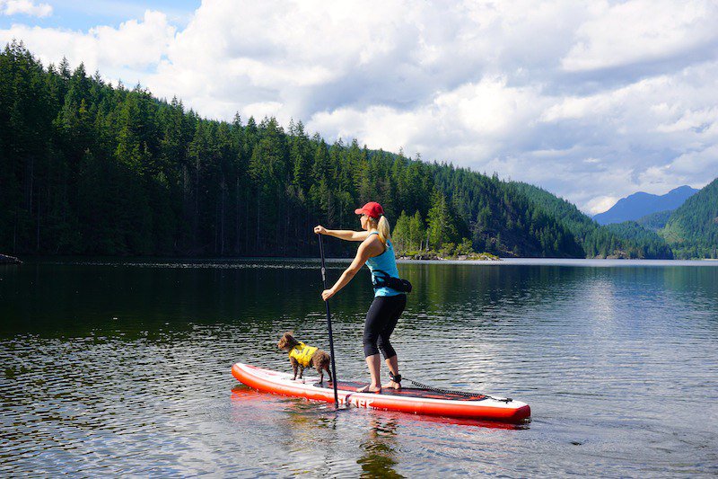 sharksups's tweet photo. Let's go adventure, my brave puppy!

#isup #SHARK #sharksups https://t.co/v3S14uhptd