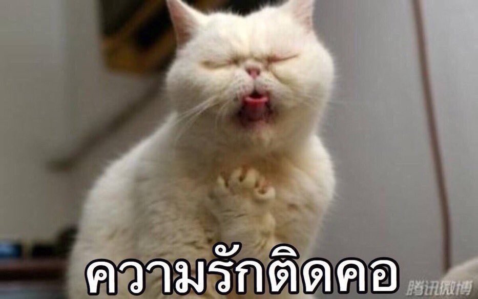 NP_Mile's tweet photo. @mthai  https://t.co/x28th13Juq