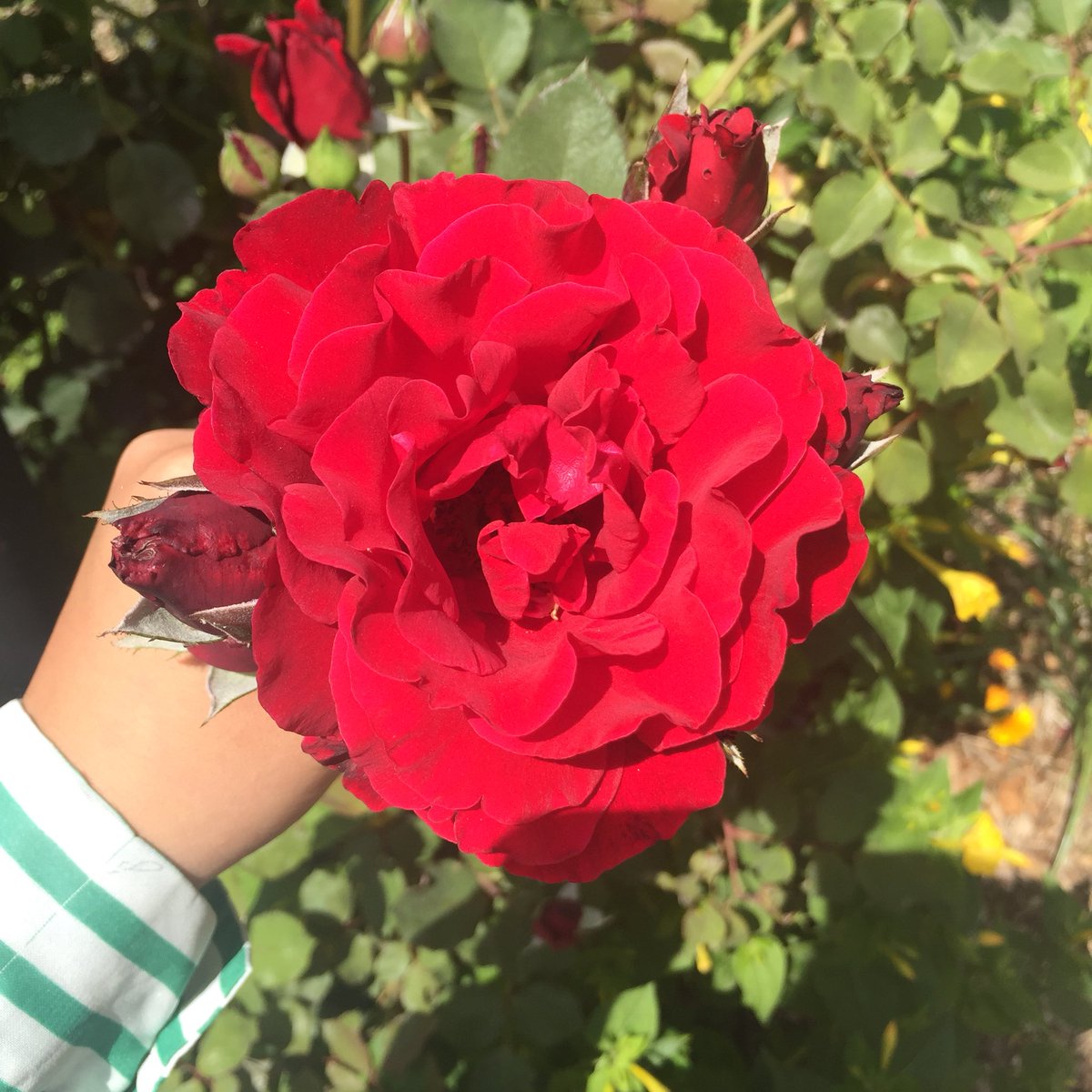 gIitterize's tweet image. i’m the kind of human wreckage that you love #frantasticmonday