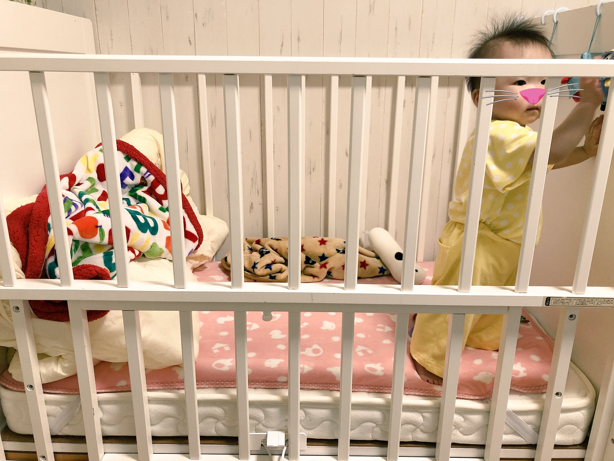 ちびゆうり on X:  