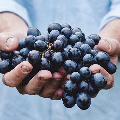 SublimeMagazine's tweet photo. The New Breed of #GREENOVATORS  a  new generation who are installing their #ethics from the ground up, contributing to build a more #sustainable &amp; fairer future https://t.co/N0wiNVkSiS #Entrepreneur #ethicalfashion #wine #organic #PlasticFreeJuly https://t.co/zD7RtKWTGj